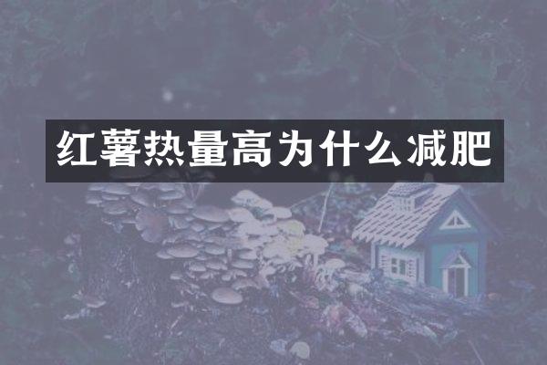 红薯热量高为什么减肥