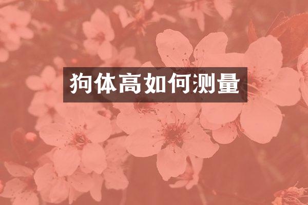 狗体高如何测量