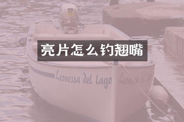 亮片怎么钓翘嘴