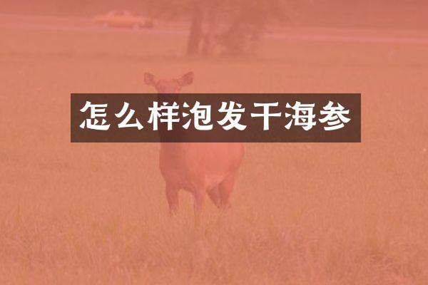 怎么样泡发干海参