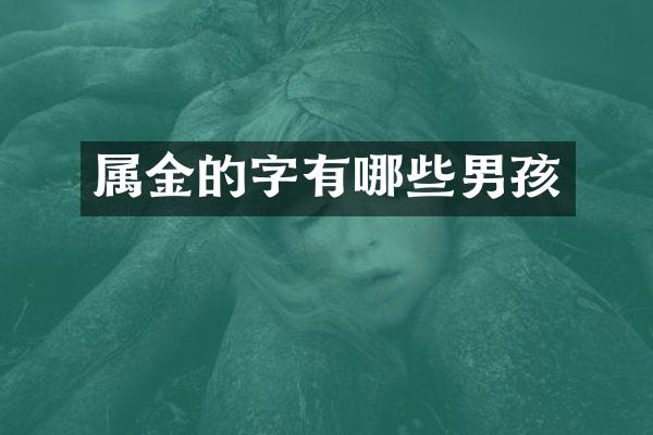 属金的字有哪些男孩