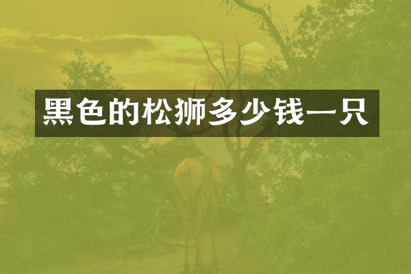 黑色的松狮多少钱一只
