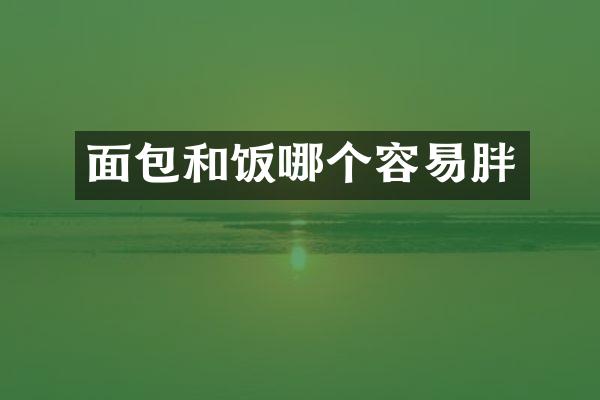 面包和饭哪个容易胖