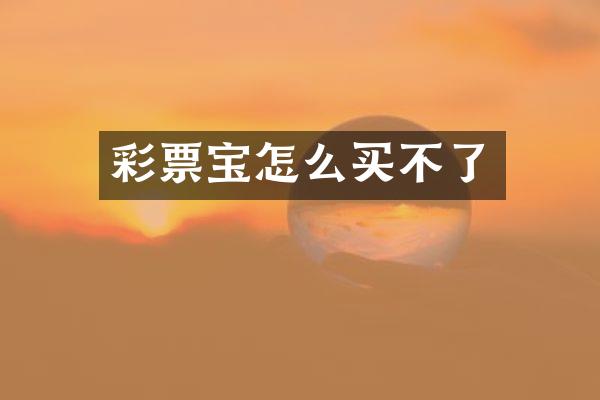 彩票宝怎么买不了