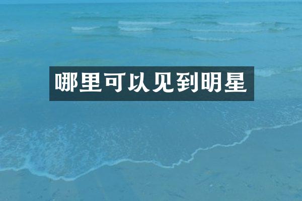 哪里可以见到明星
