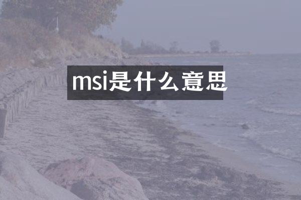 msi是什么意思