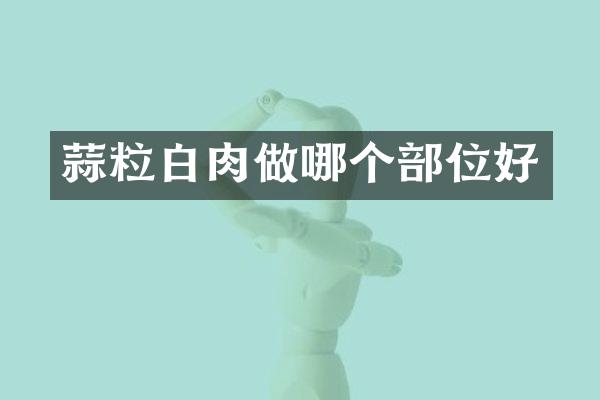 蒜粒白肉做哪个部位好