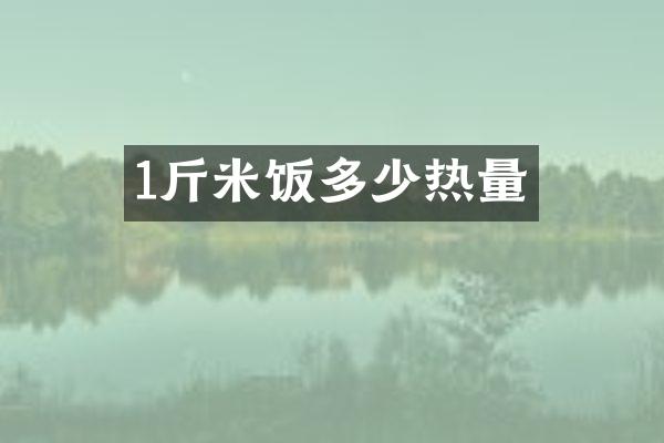 1斤米饭多少热量