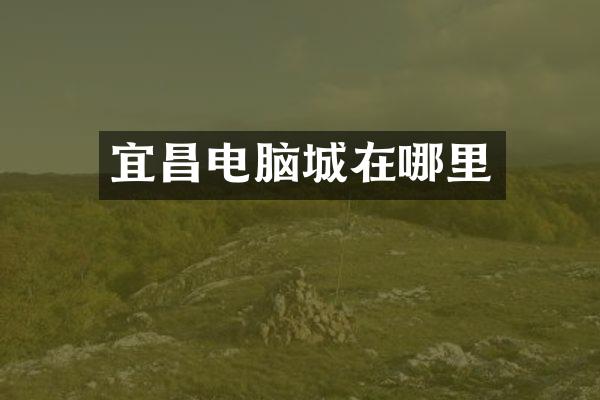 宜昌电脑城在哪里