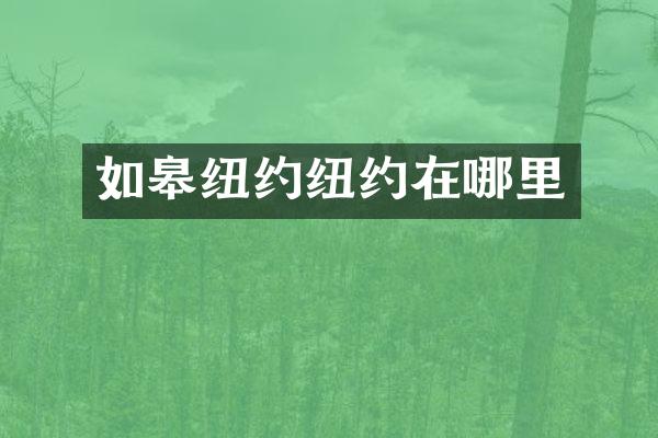 如皋纽约纽约在哪里
