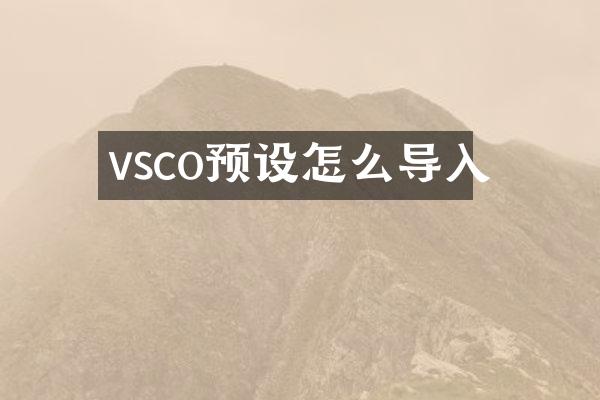 vsco预设怎么导入