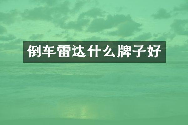 倒车雷达什么牌子好