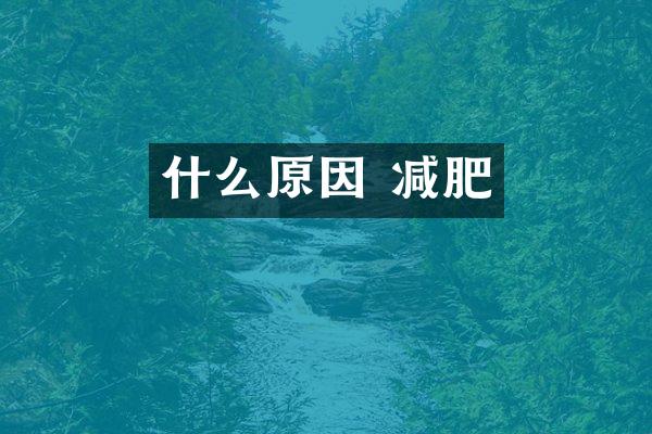 什么原因 减肥