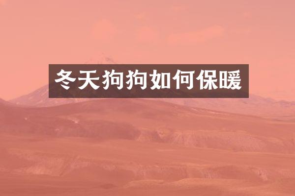 冬天狗狗如何保暖