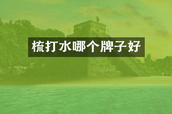 梳打水哪个牌子好