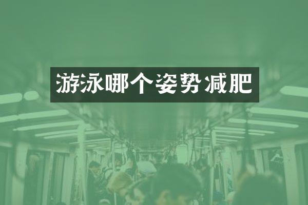 游泳哪个姿势减肥