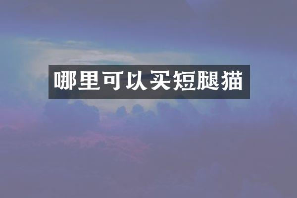 哪里可以买短腿猫