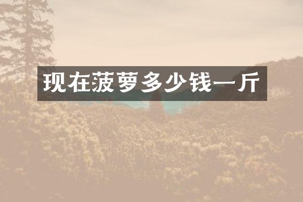 现在菠萝多少钱一斤