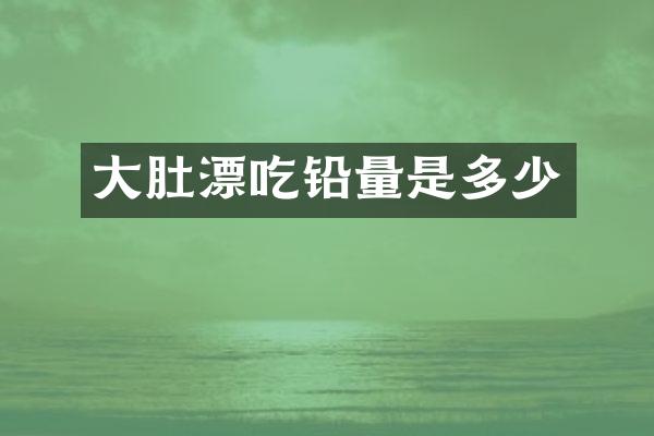 大肚漂吃铅量是多少