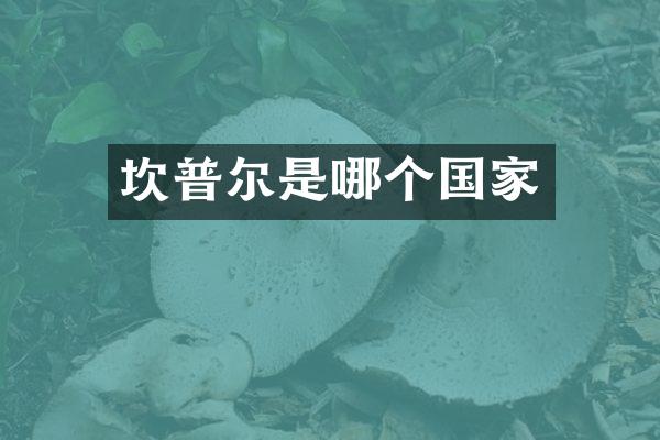 坎普尔是哪个国家