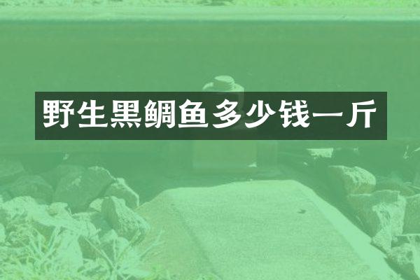 野生黑鲷鱼多少钱一斤