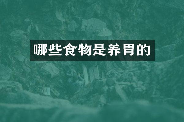 哪些食物是养胃的