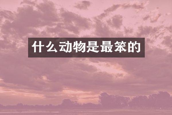 什么动物是最笨的