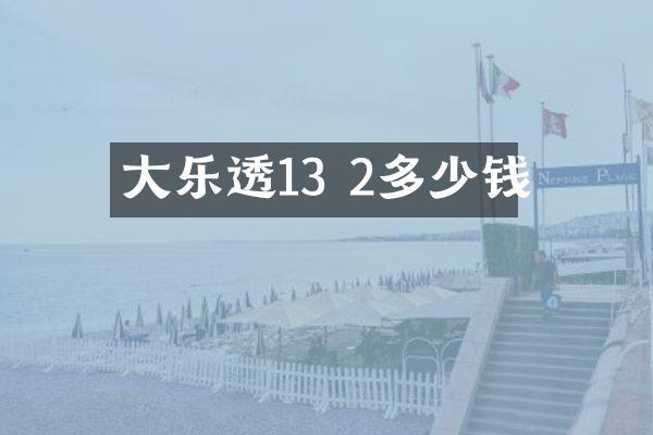 大13 2多少钱