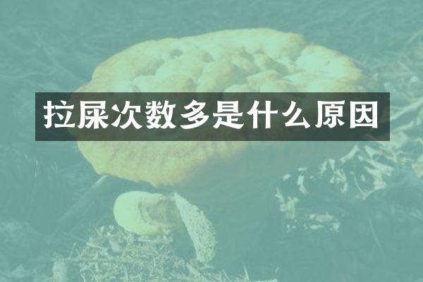 拉屎次数多是什么原因
