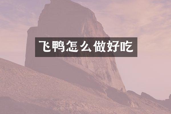 飞鸭怎么做好吃