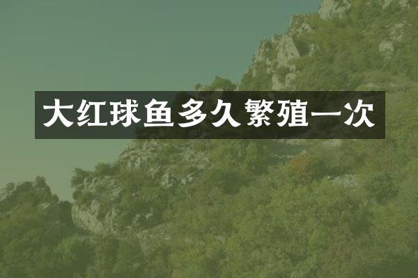 大红球鱼多久繁殖一次