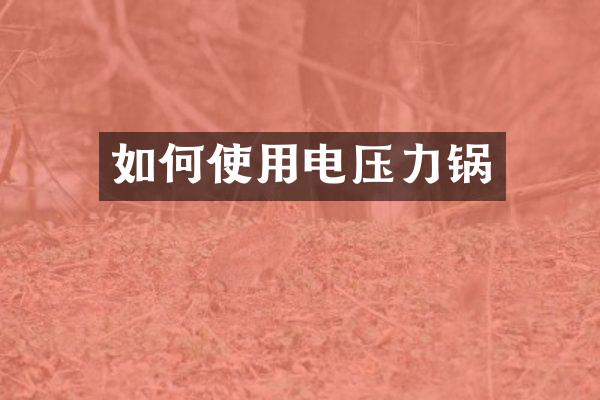 如何使用电压力锅