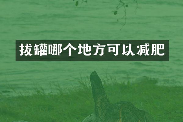拔罐哪个地方可以减肥