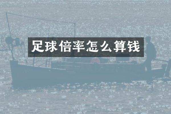 足球倍率怎么算钱