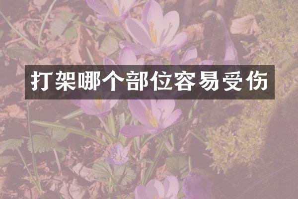 打架哪个部位容易受伤