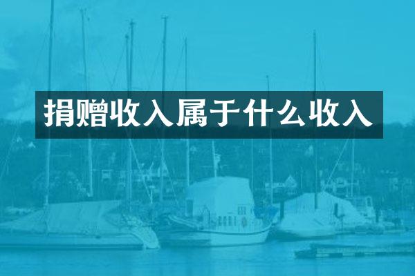 捐赠收入属于什么收入