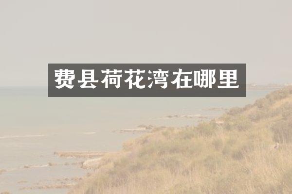 费县荷花湾在哪里