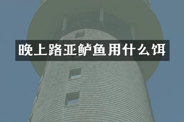 晚上路亚鲈鱼用什么饵
