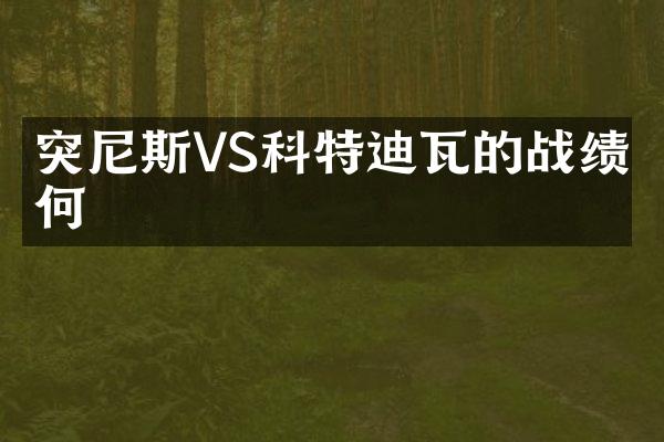 突尼斯VS科特迪瓦的战绩如何