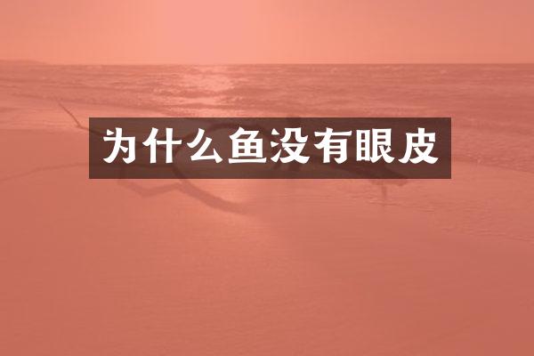 为什么鱼没有眼皮