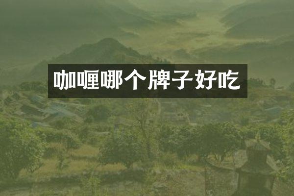 咖喱哪个牌子好吃