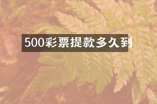 500彩票提款多久到
