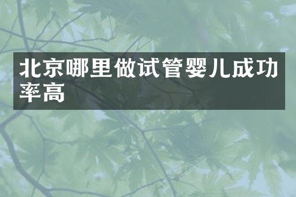 北京哪里做试管婴儿成功率高