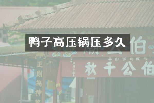 鸭子高压锅压多久