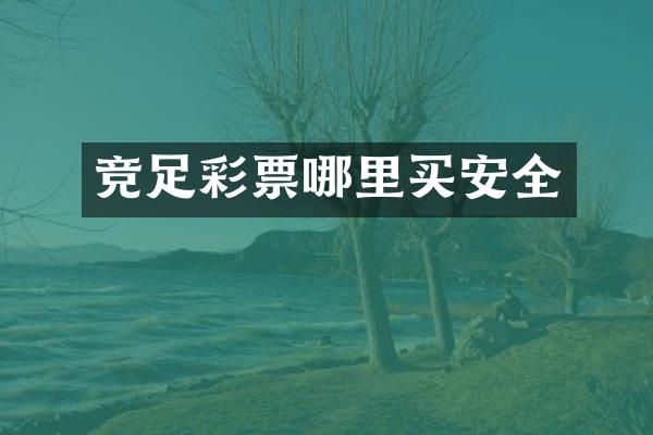 竞票哪里买安全