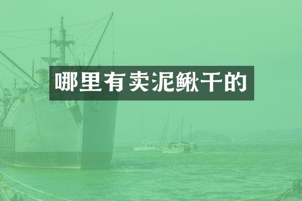 哪里有卖泥鳅干的