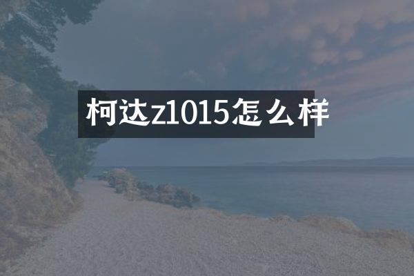 柯达z1015怎么样