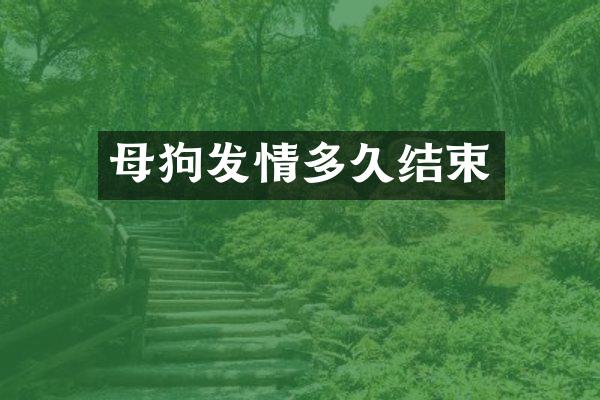 母狗发情多久结束