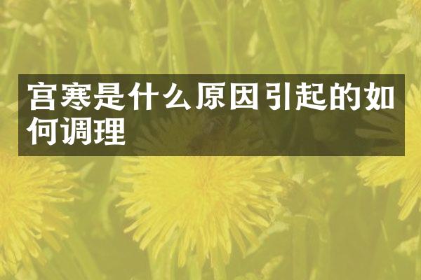 宫寒是什么原因引起的如何调理