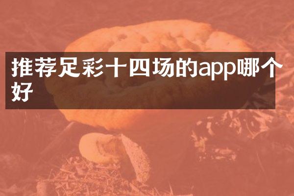 推荐十四场的app哪个好